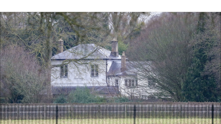 Prince Harry is Reportedly House Hunting in the UK